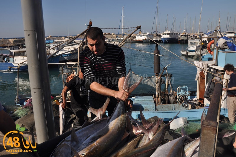 samak antayasa (3).JPG